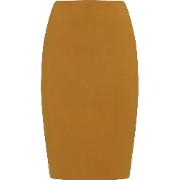 Saint Laurent Skirt