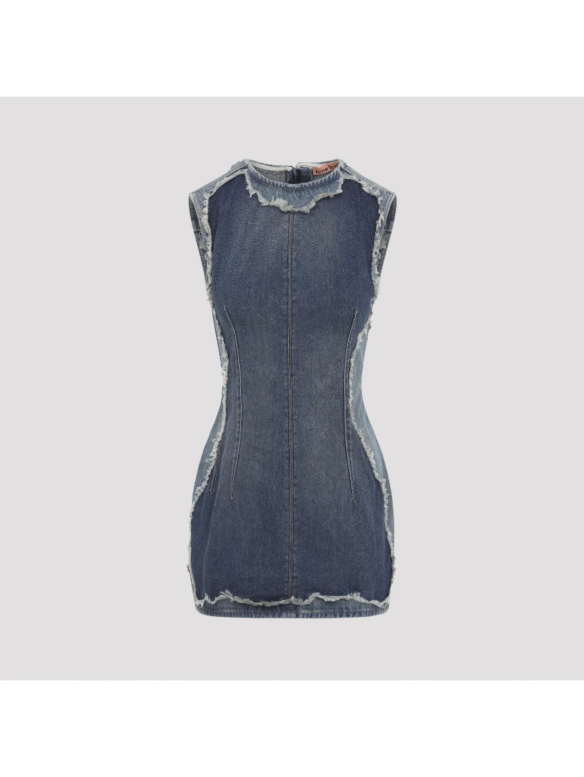 Acne Studios Cotton Mini Dress