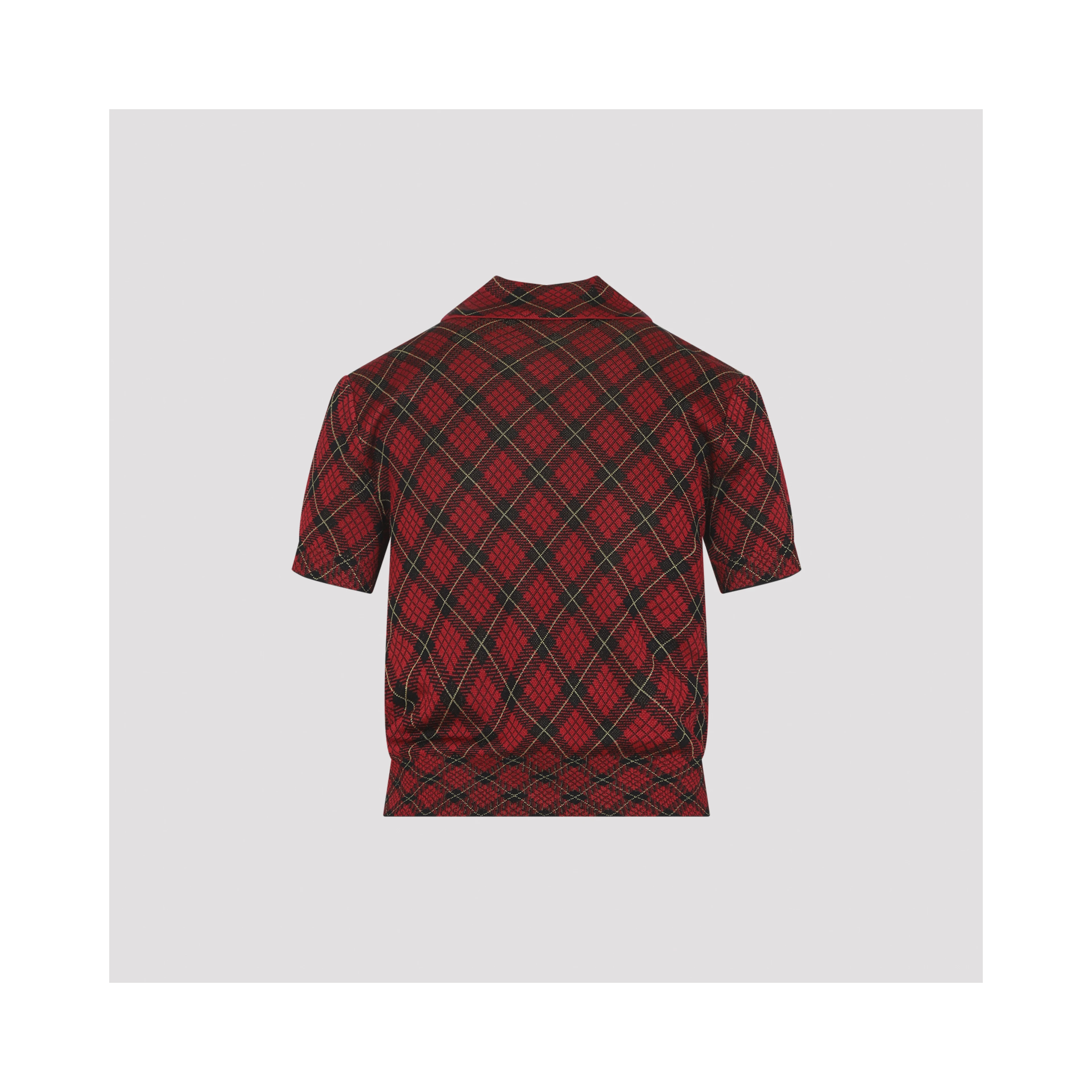 Alexander McQueen Microcheck Polo