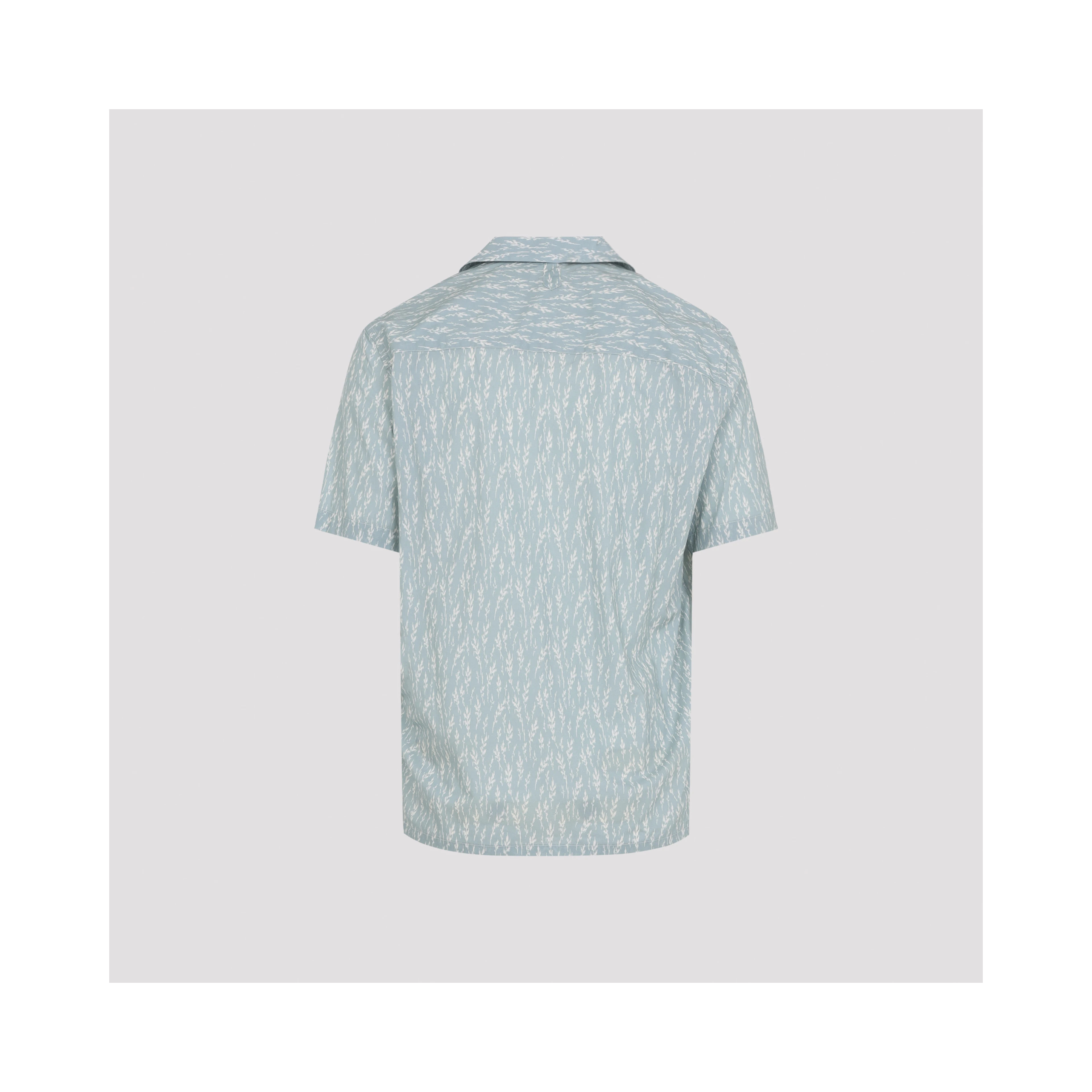 Canali Shirt