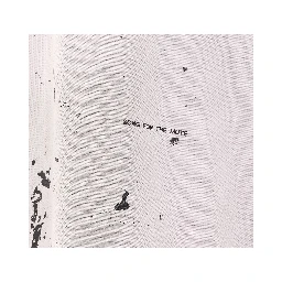 ADIDAS X SONG FOR THE MUTE T-shirts and Polos