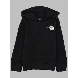 teen simple dome light reg hoodie cedar