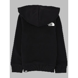 teen simple dome light reg hoodie cedar