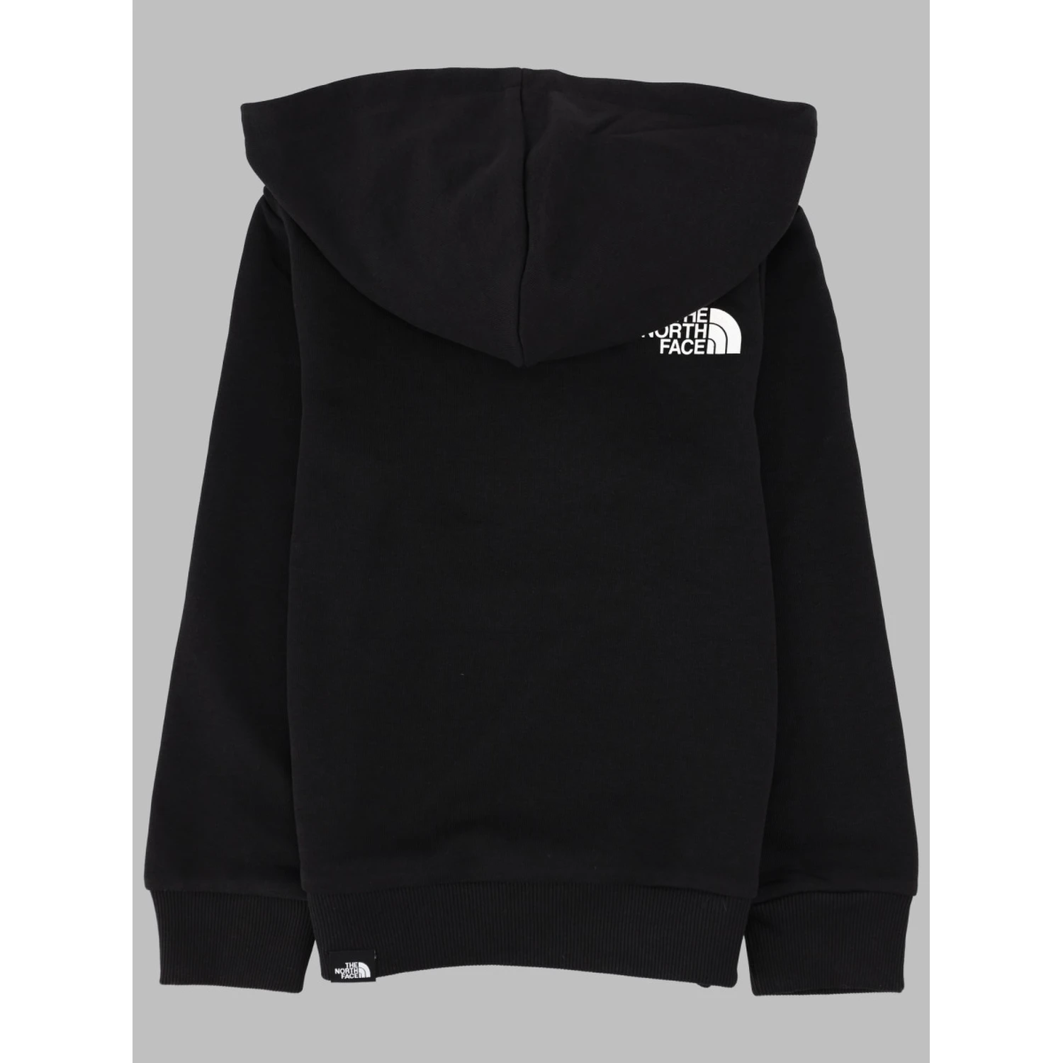 teen simple dome light reg hoodie cedar