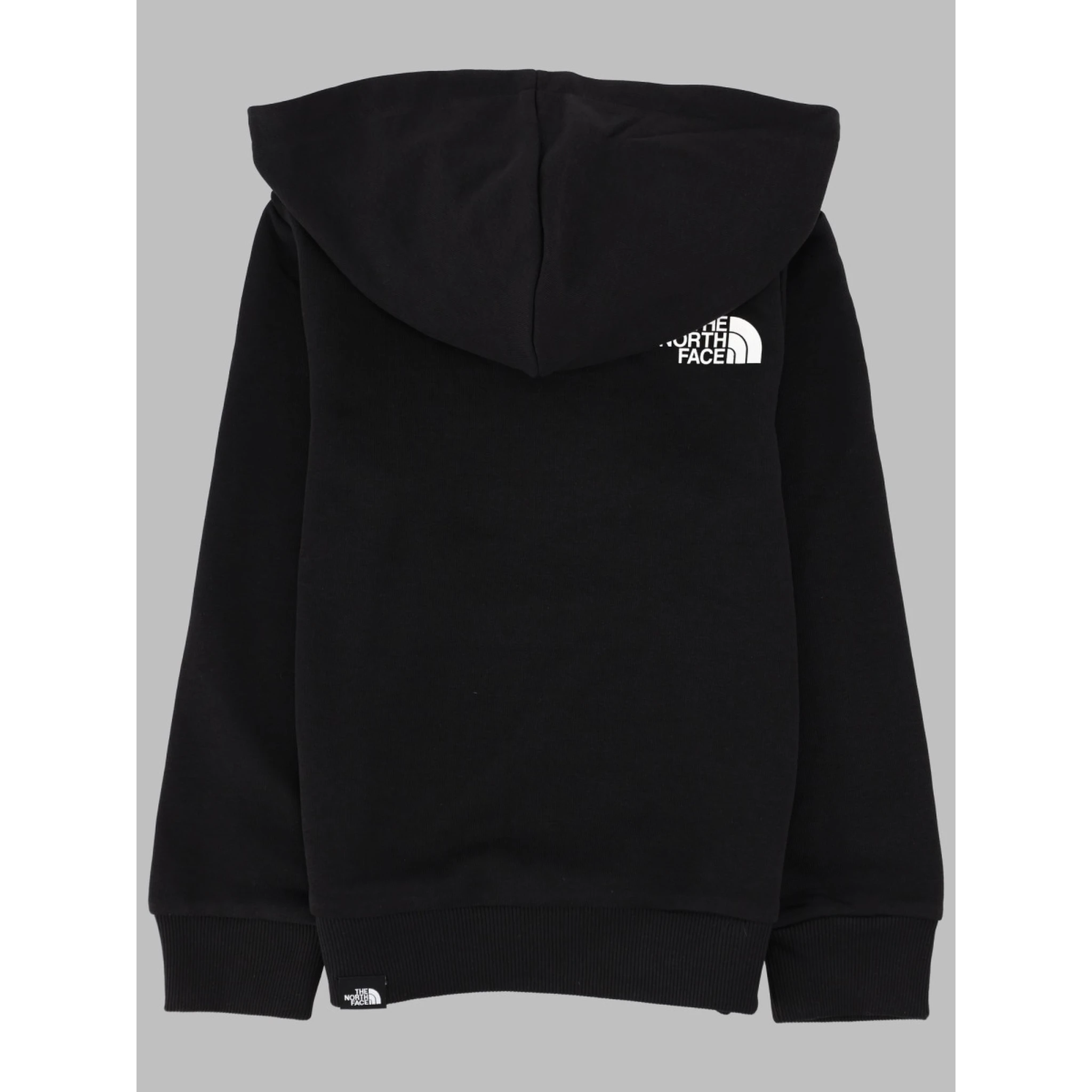 teen simple dome light reg hoodie cedar