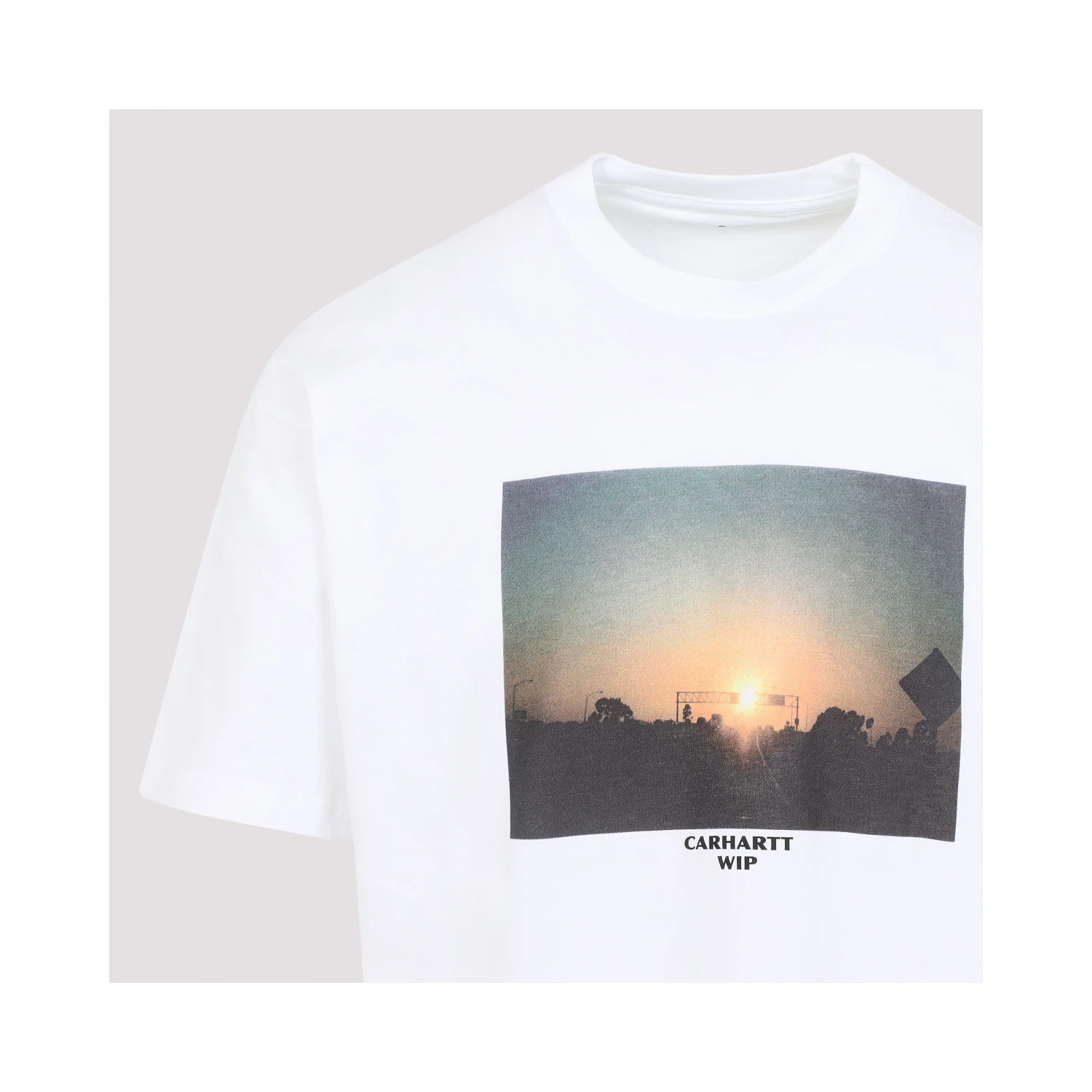 Carhartt Wip Warm Views T-shirt