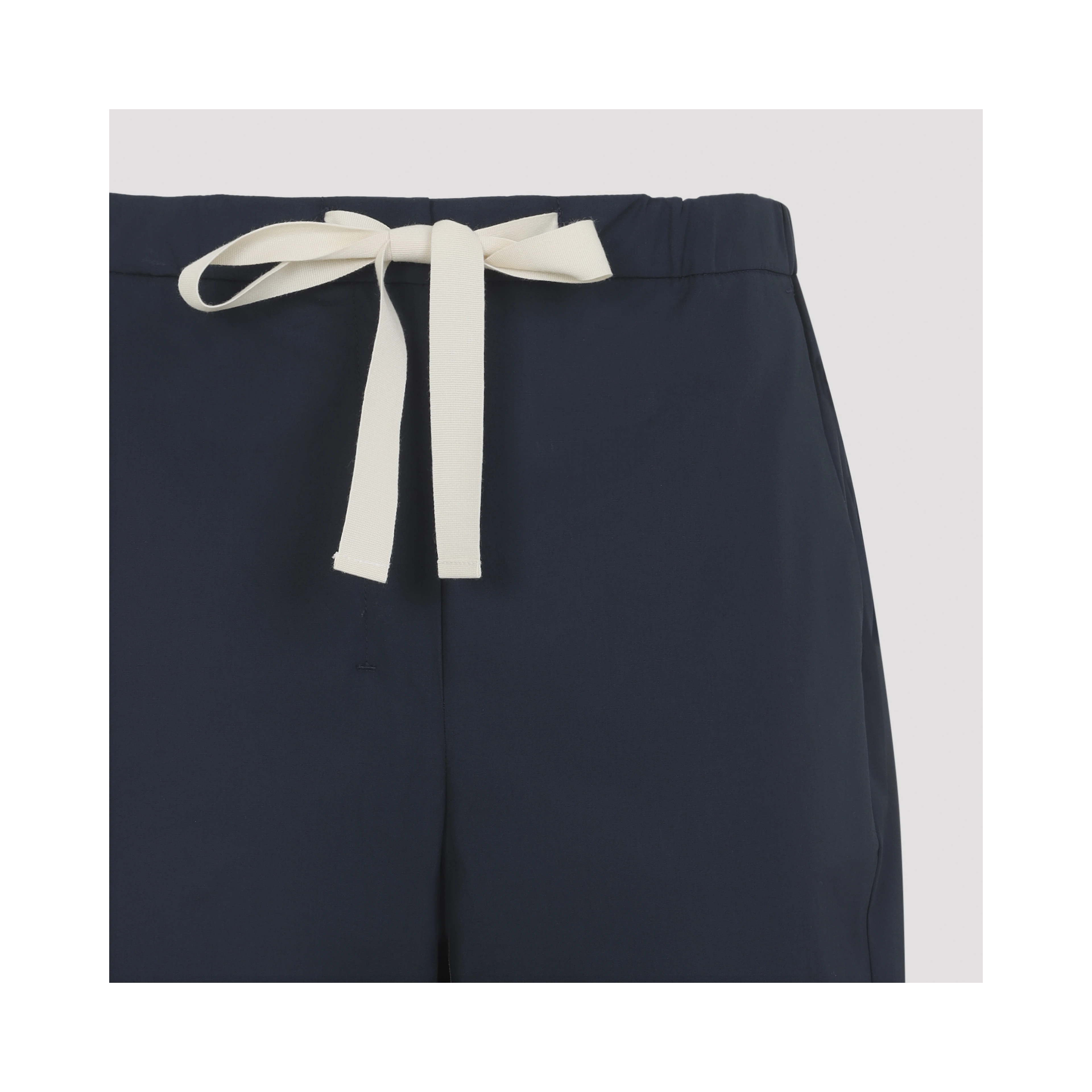 Max Mara`s Argento Pants