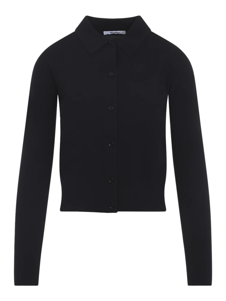 Max Mara Medeola Knit Polo alternative