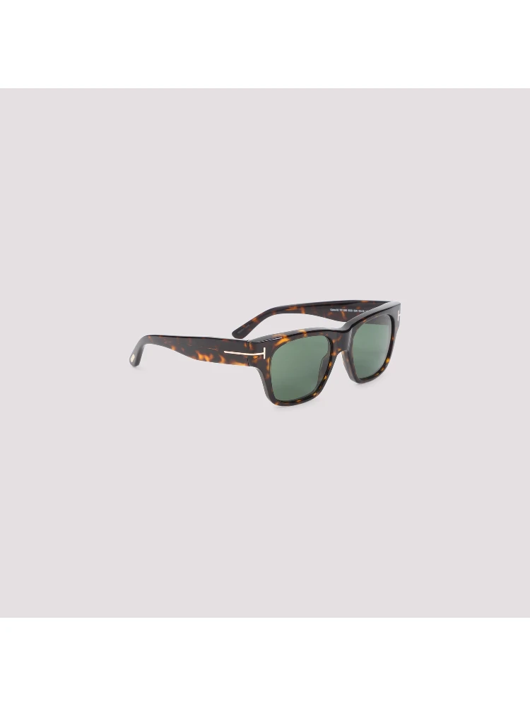 Tom Ford Eyewear Caine Sunglasses