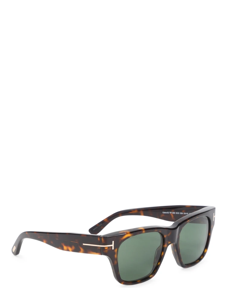Tom Ford Eyewear Caine Sunglasses alternative