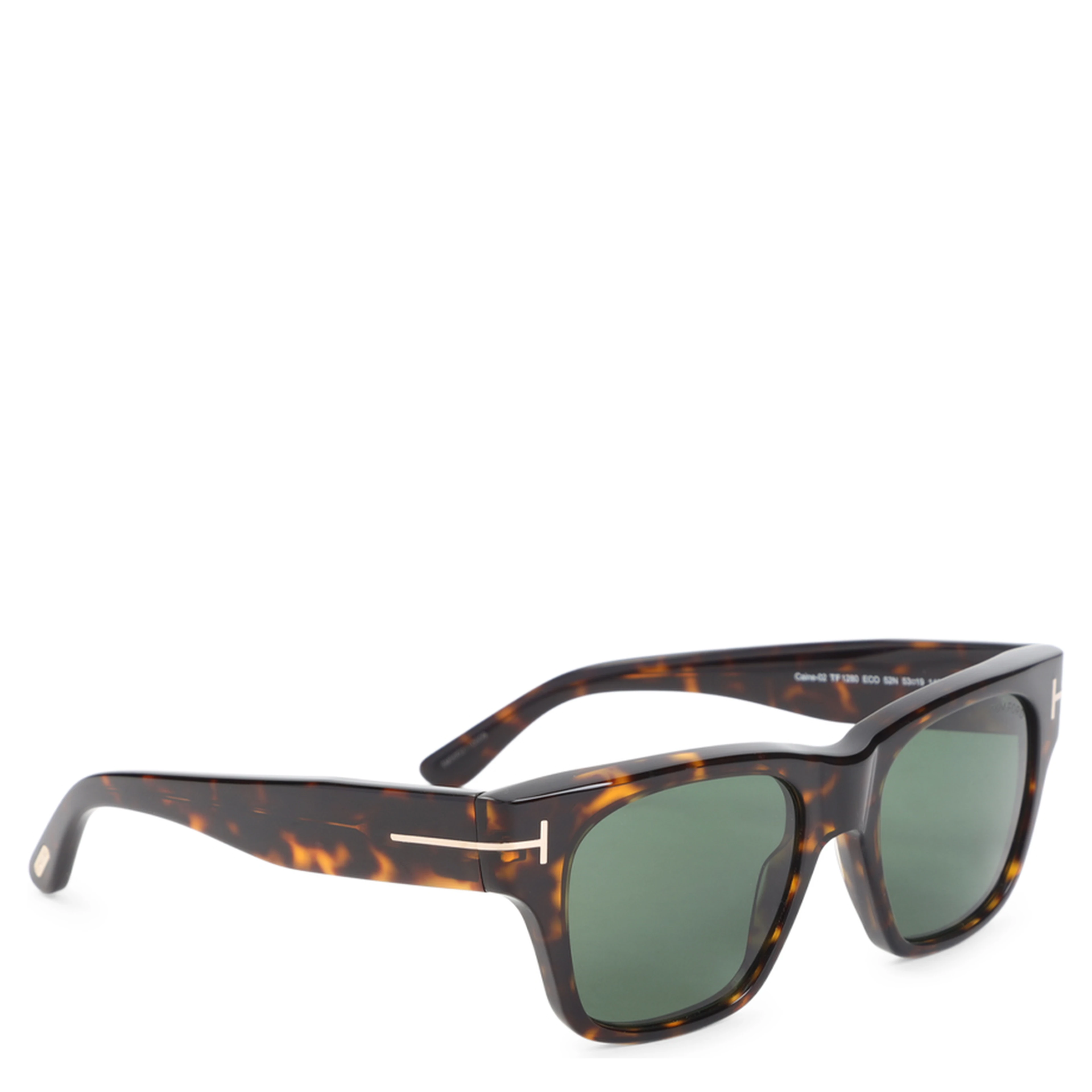 Tom Ford Eyewear Caine Sunglasses