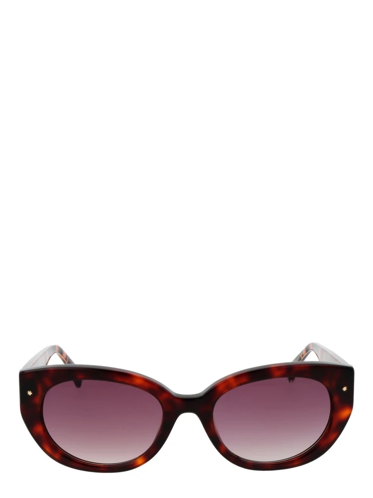 Brown Acetate Sunglasses alternative