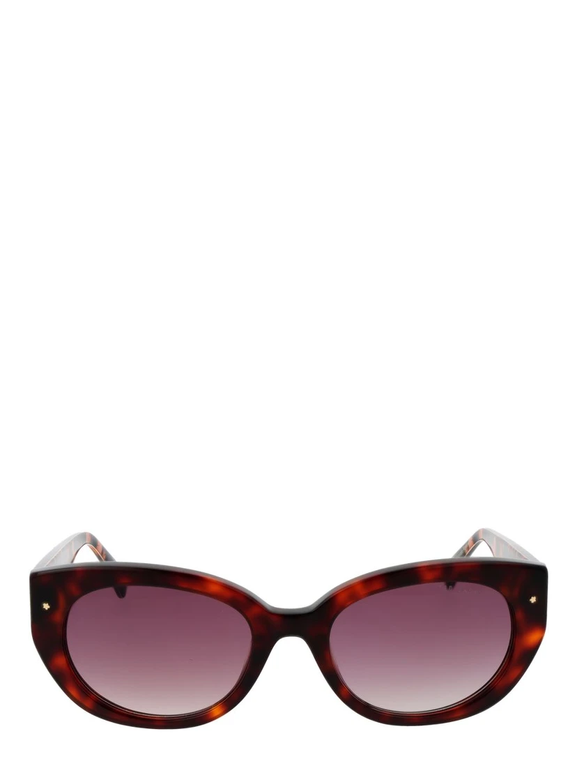 Brown Acetate Sunglasses