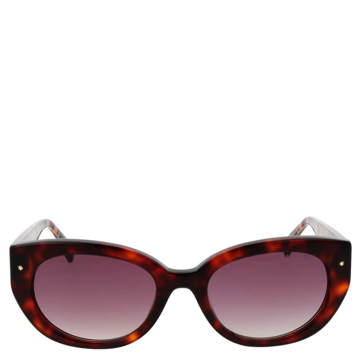 Brown Acetate Sunglasses