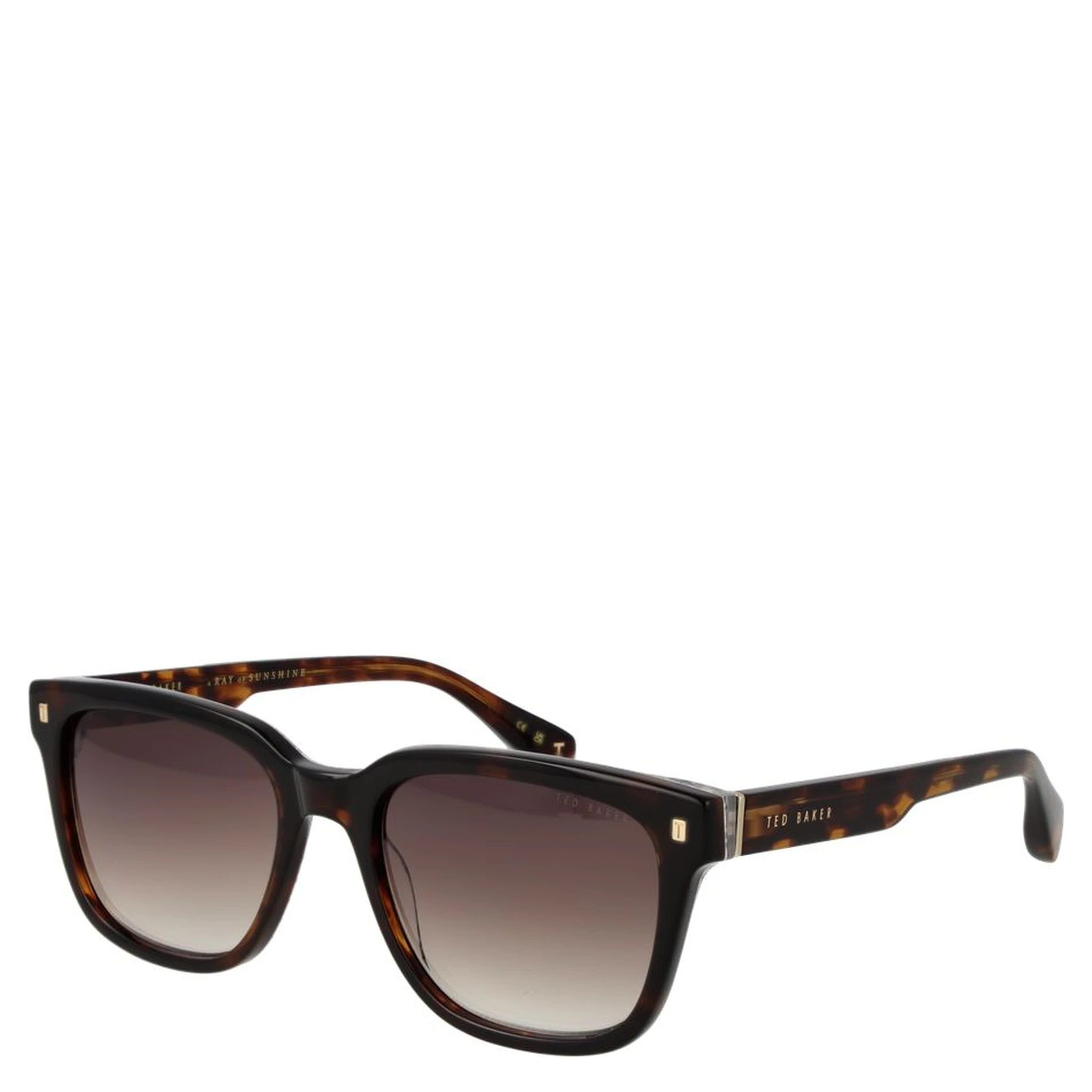 Brown Acetate Sunglasses