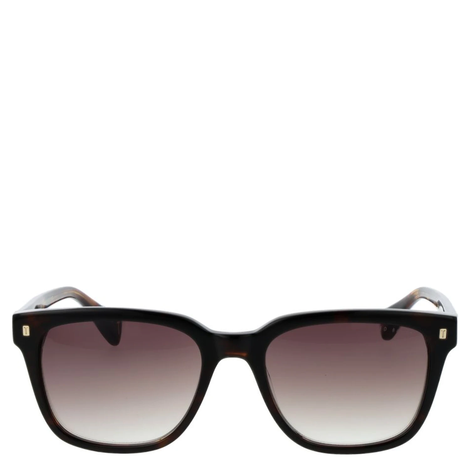 Brown Acetate Sunglasses