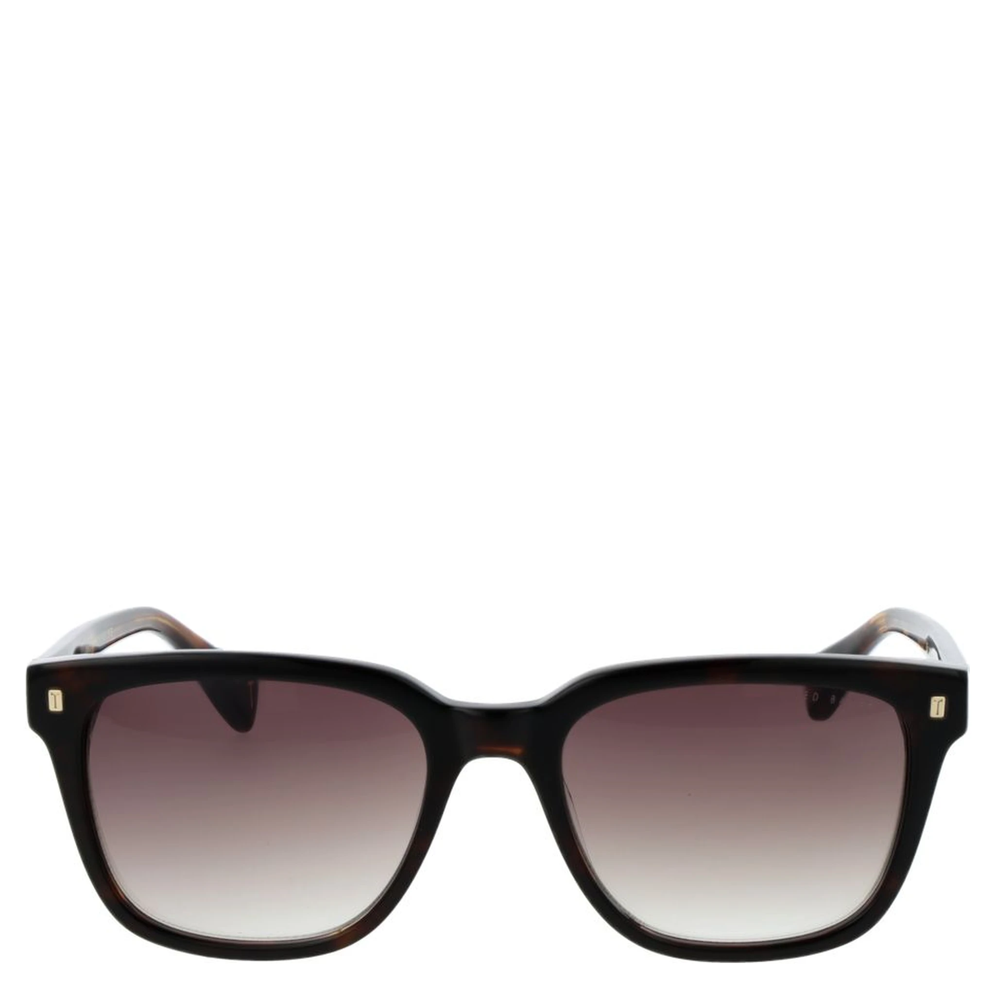 Brown Acetate Sunglasses