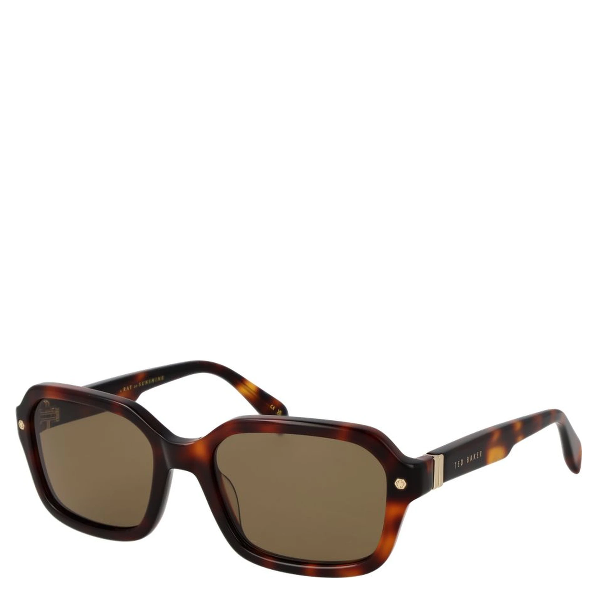 Brown Acetate Sunglasses