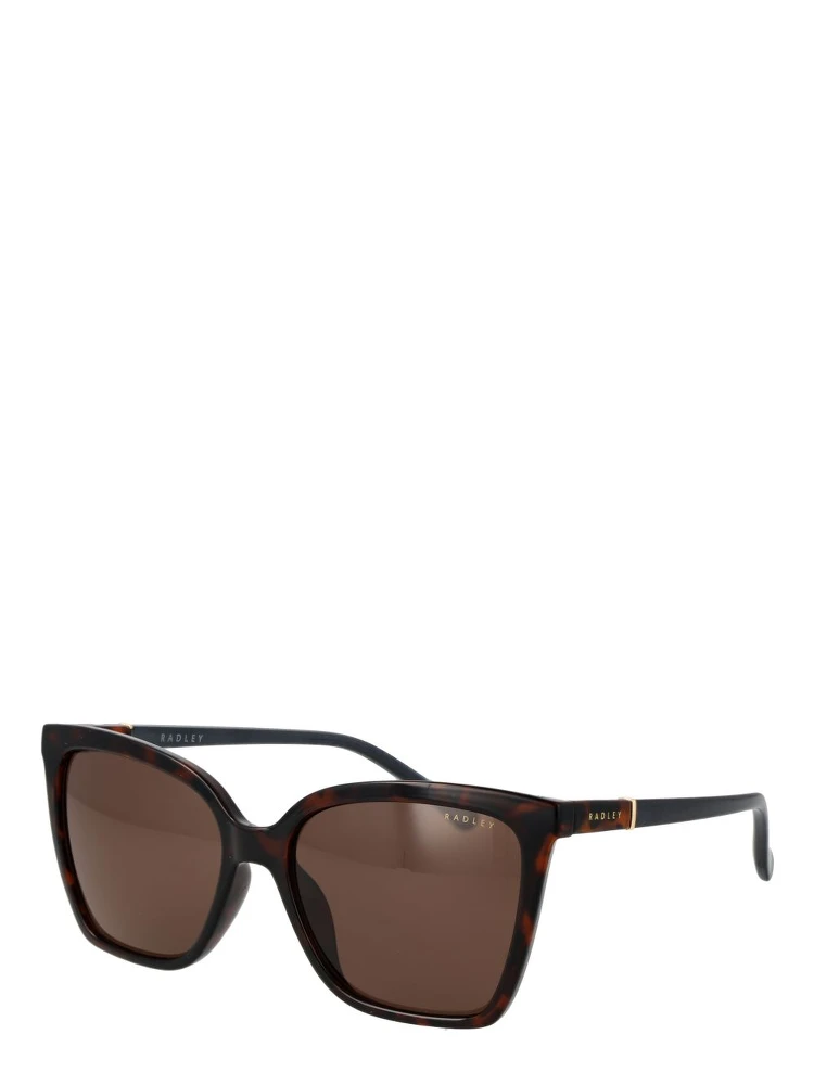 Brown Polycarbonate Sunglasses