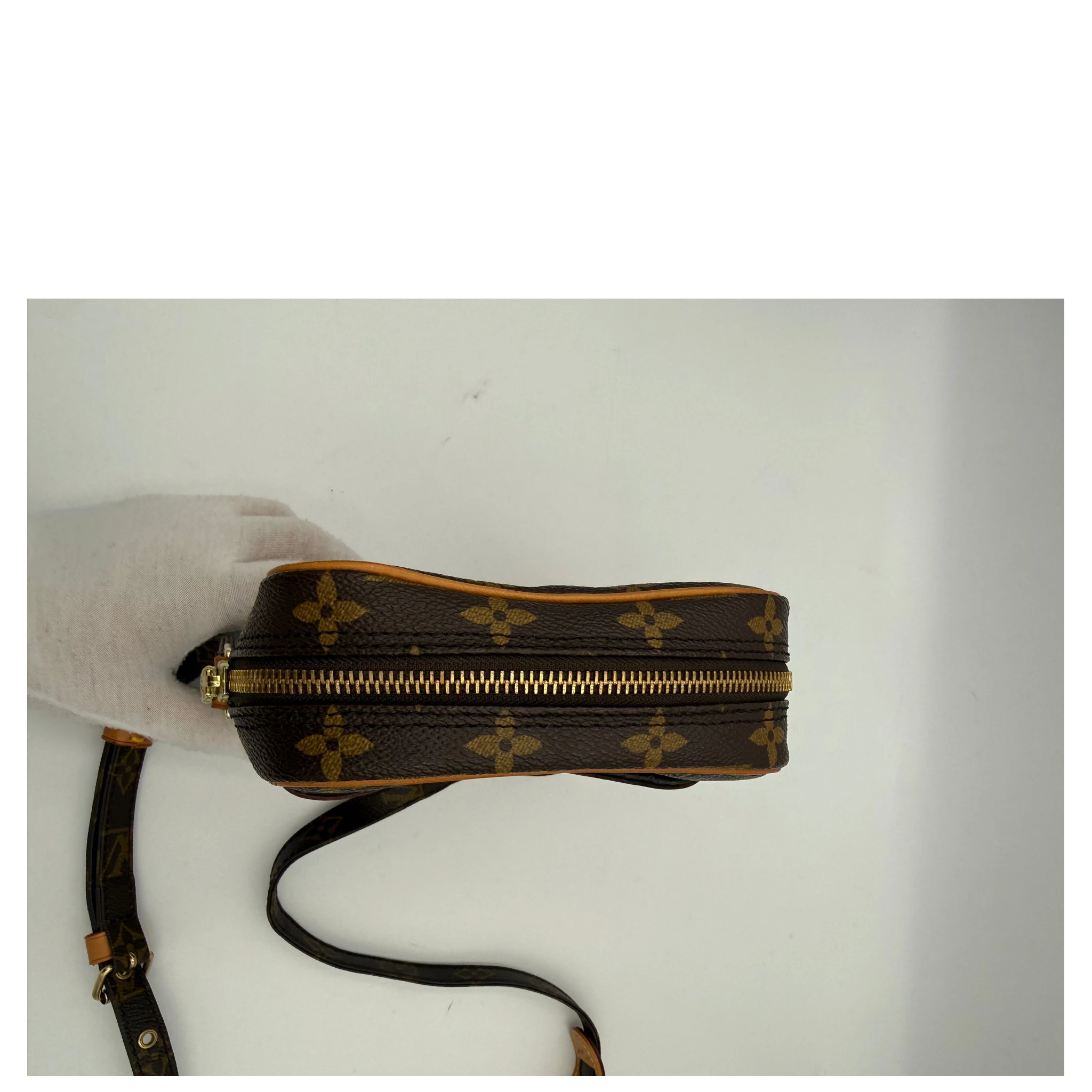 LOUIS VUITTON DANUBE Monogram Handbag
