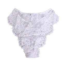 White Floral Lace Low Rise Panty Underwear