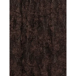 Rotate Dresses
