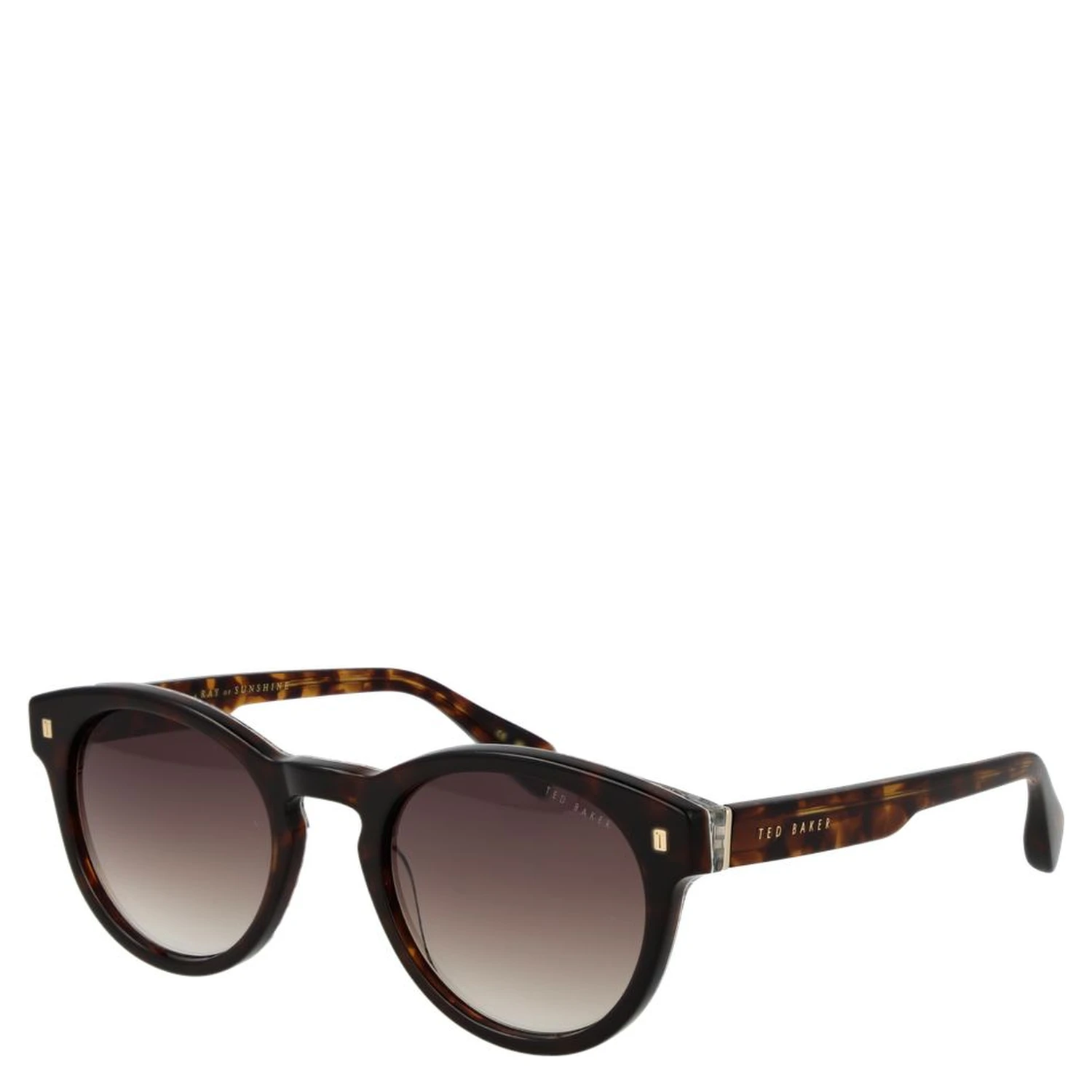 Brown Acetate Sunglasses