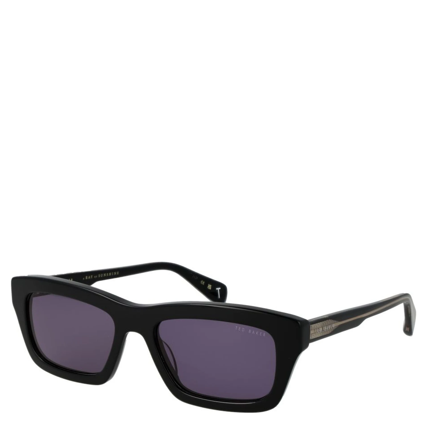 Black Acetate Sunglasses