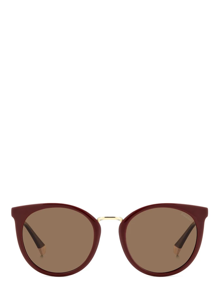 Multicolor Resin Sunglasses alternative