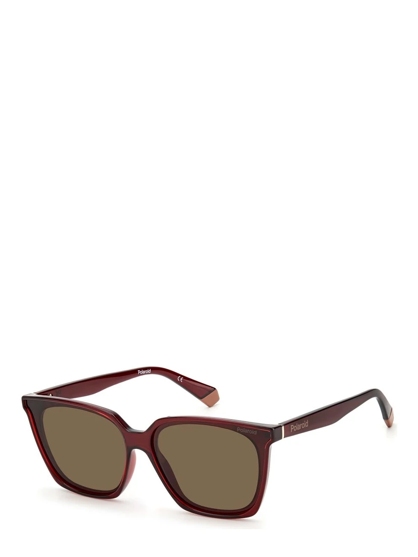 Multicolor Plastic Sunglasses