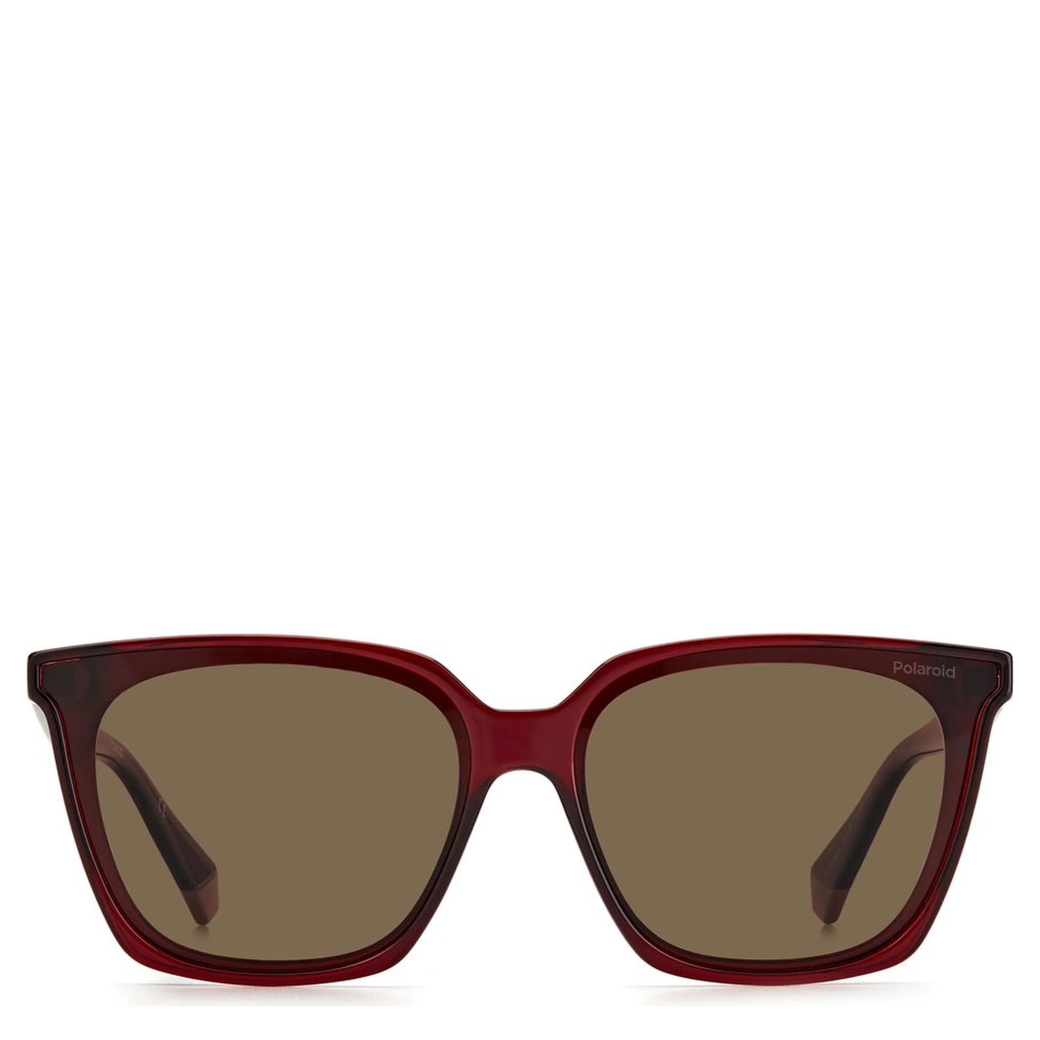 Multicolor Plastic Sunglasses