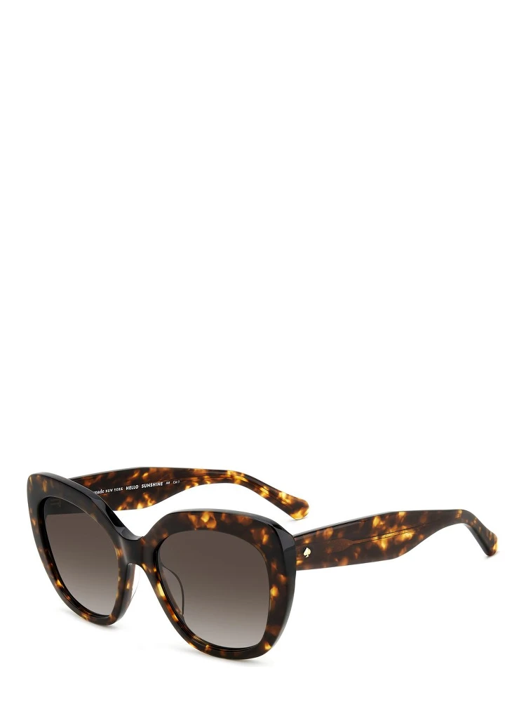 Brown Acetate Sunglasses