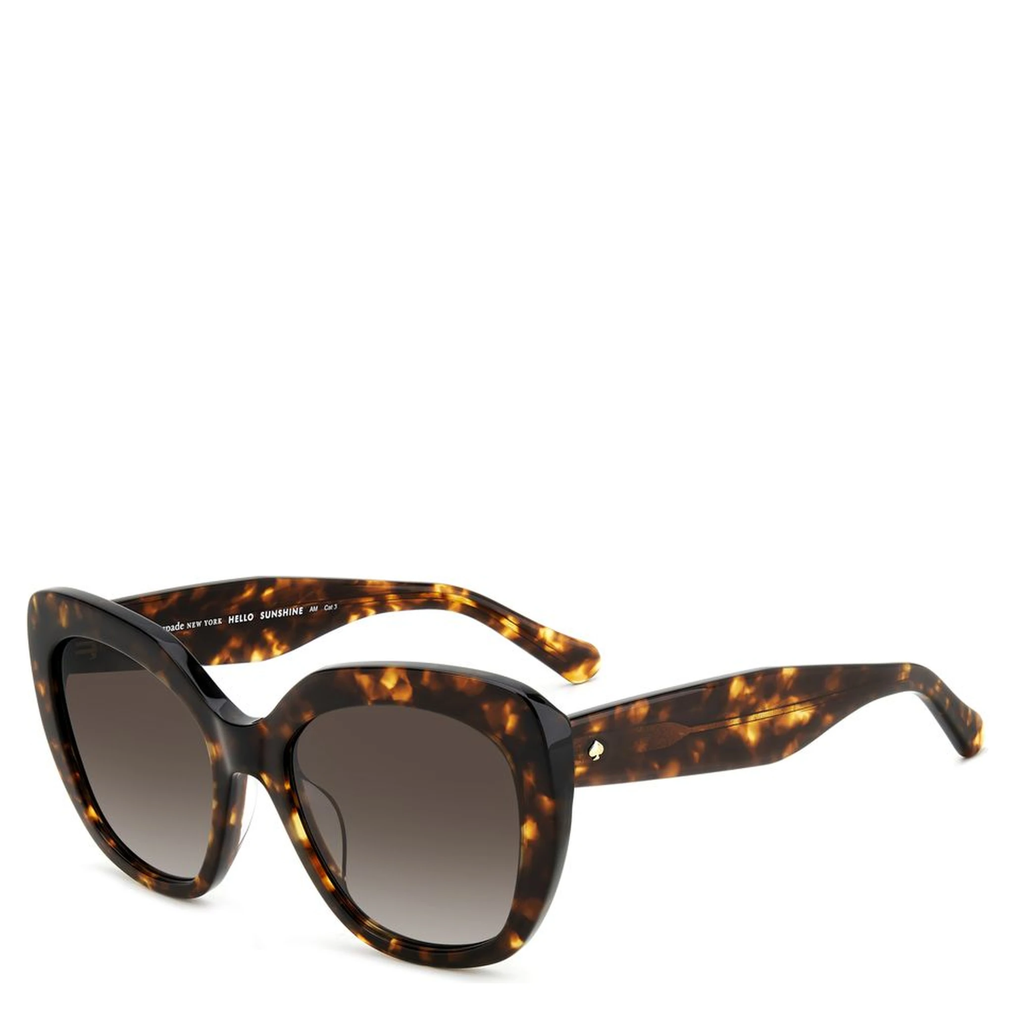 Brown Acetate Sunglasses