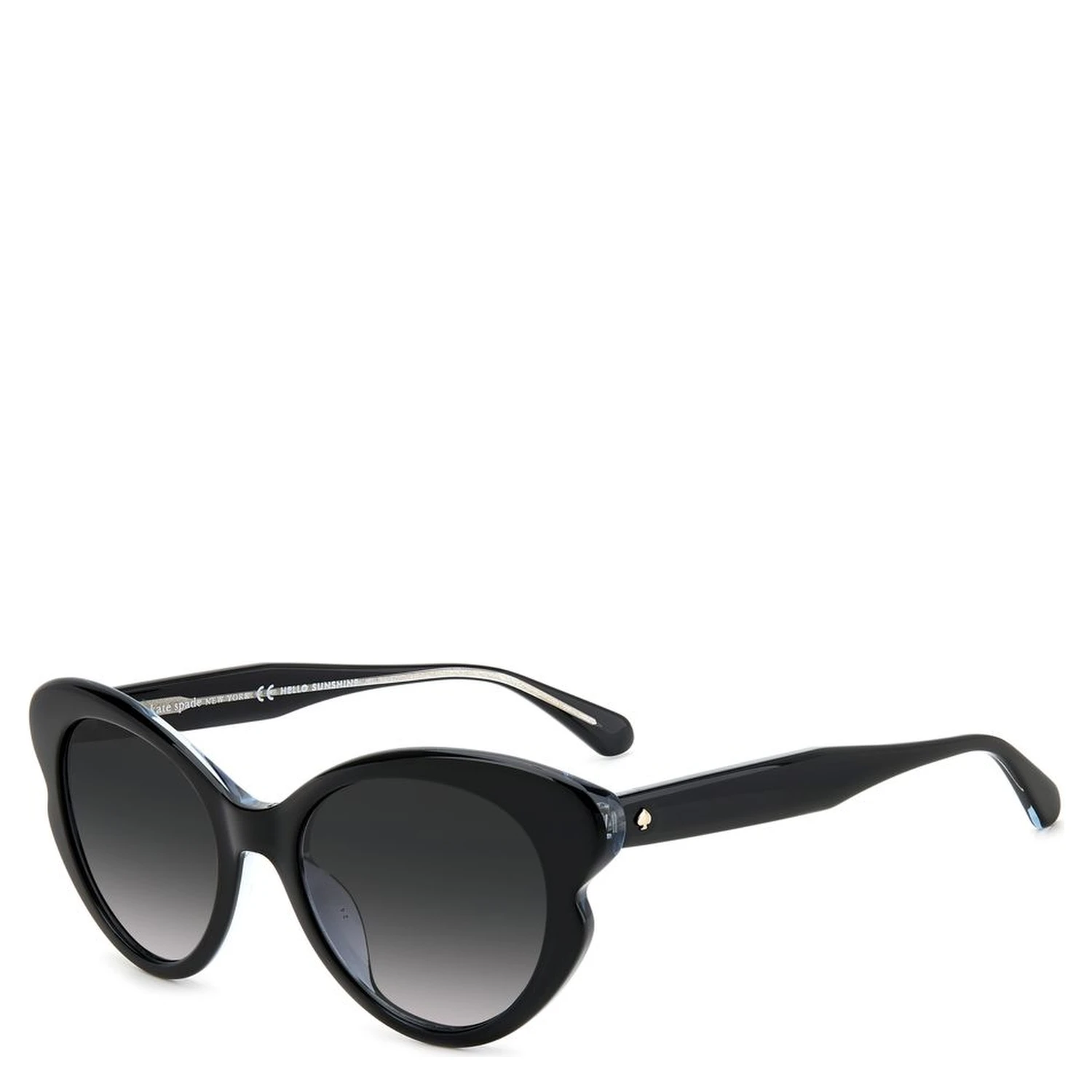 Black Acetate Sunglasses