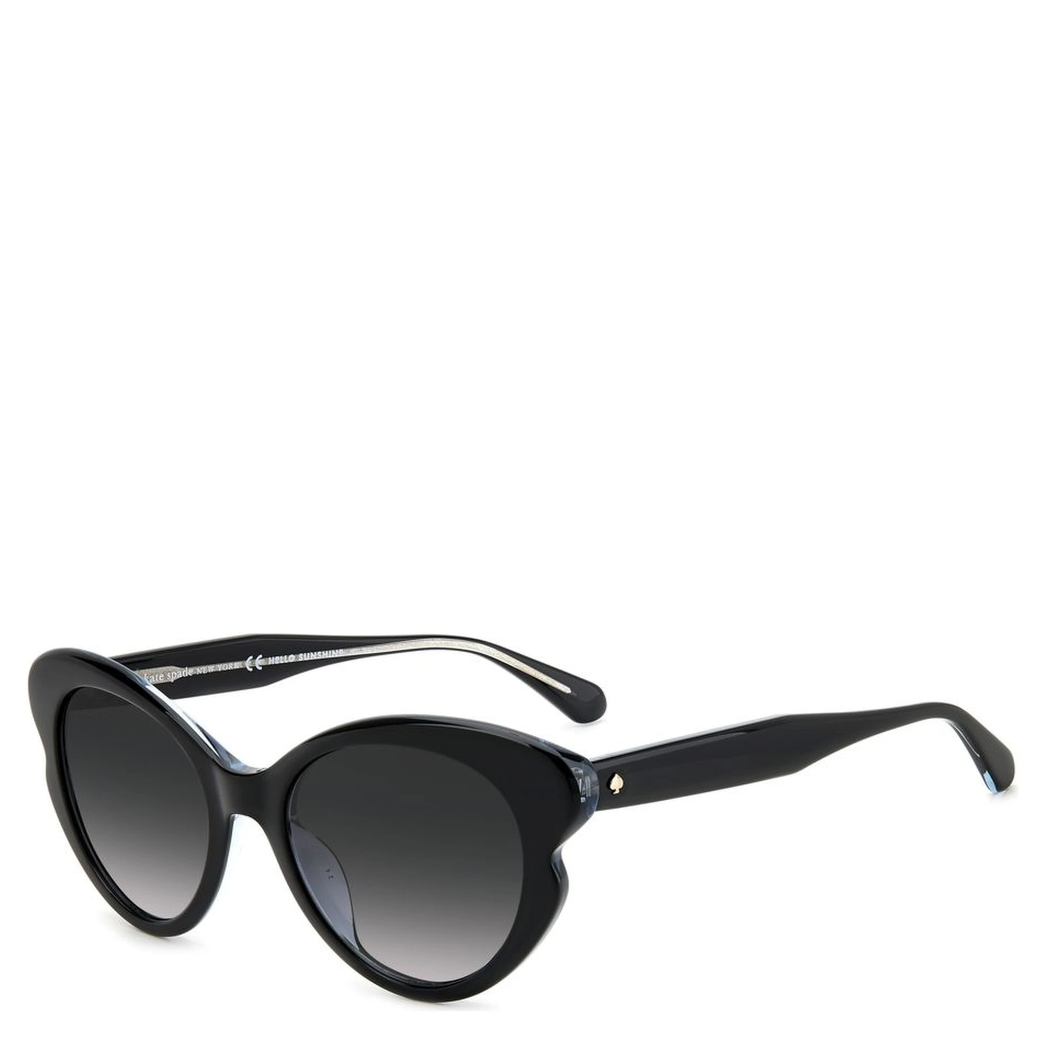 Black Acetate Sunglasses