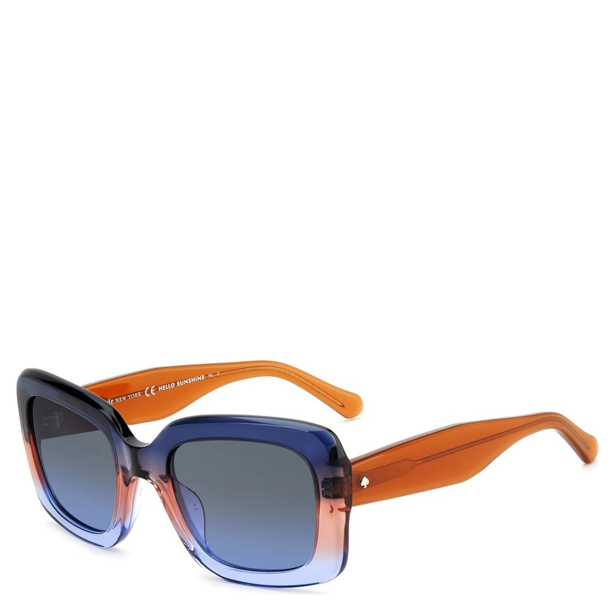 Blue Acetate Sunglasses