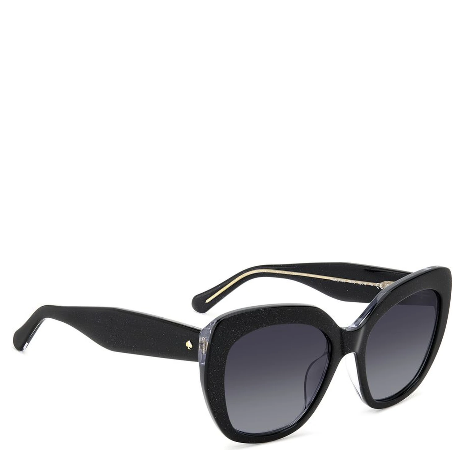 Black Acetate Sunglasses