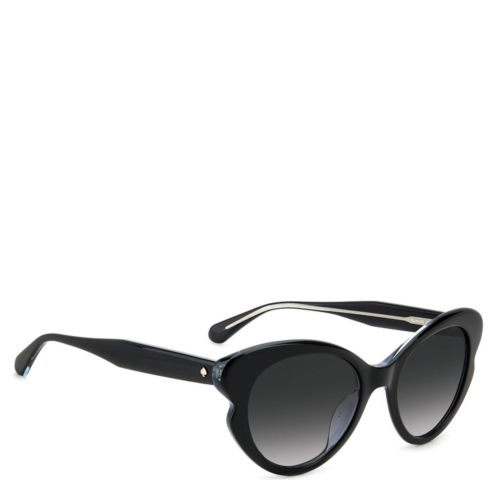 Black Acetate Sunglasses