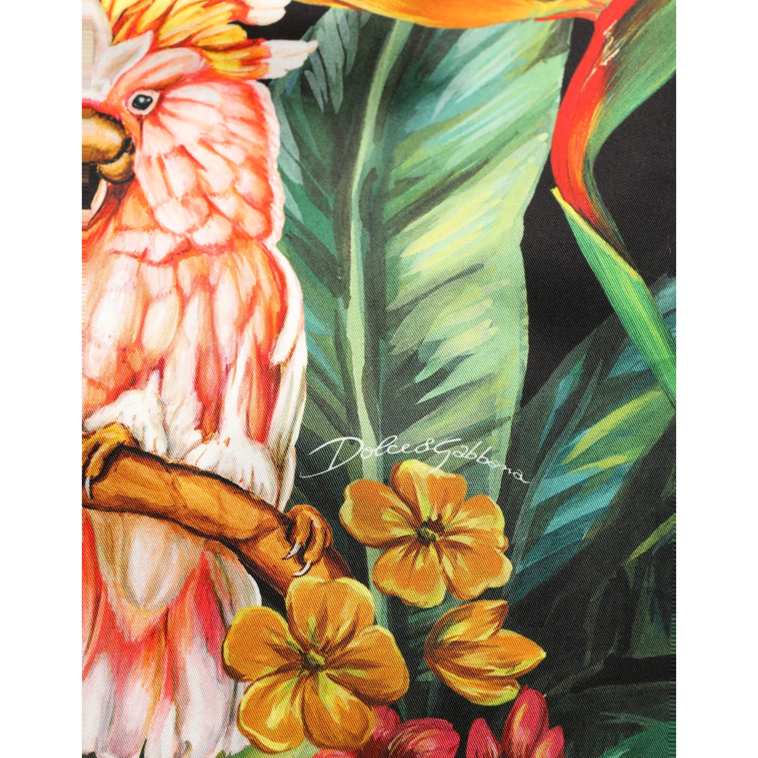 Black Tropical Print Cotton HighWaist Pants