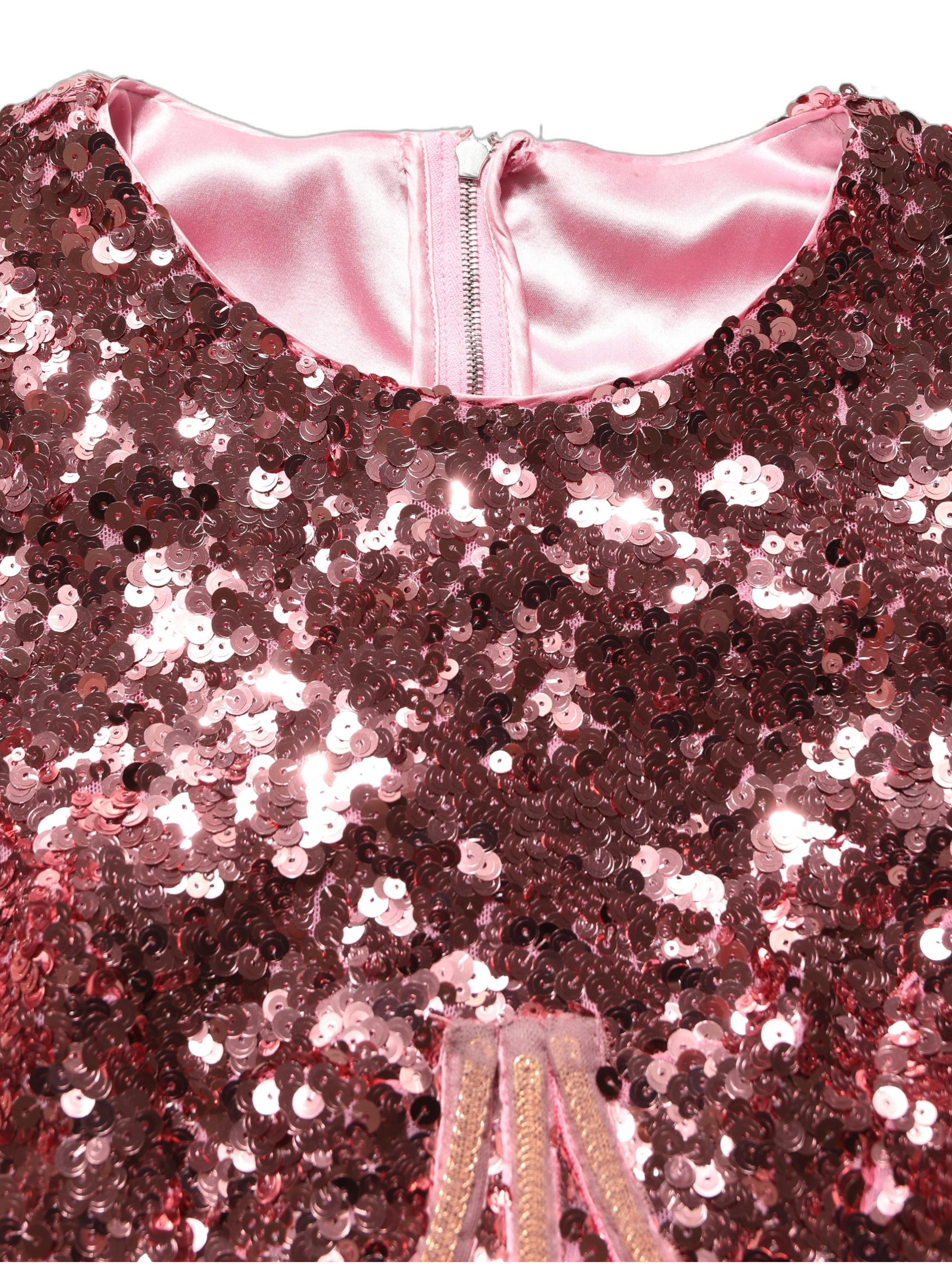 Pink Long Sequined Corset Detailing Gown Dress