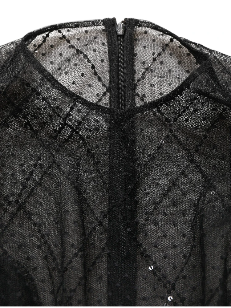 Black Mesh Lace Long Sleeved Maxi Gown Dress