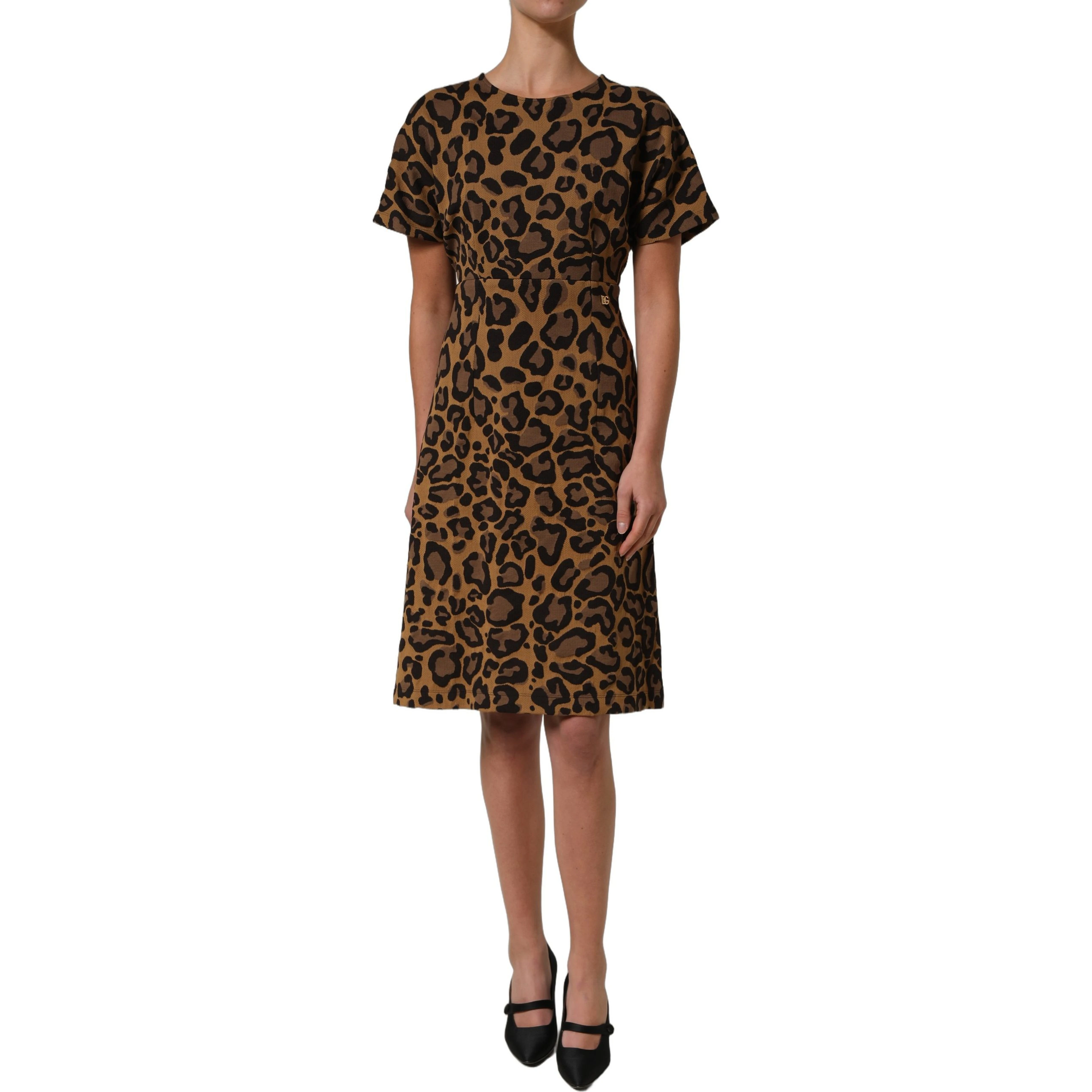 Brown LeopardPrint Flared A-line Mini Dress