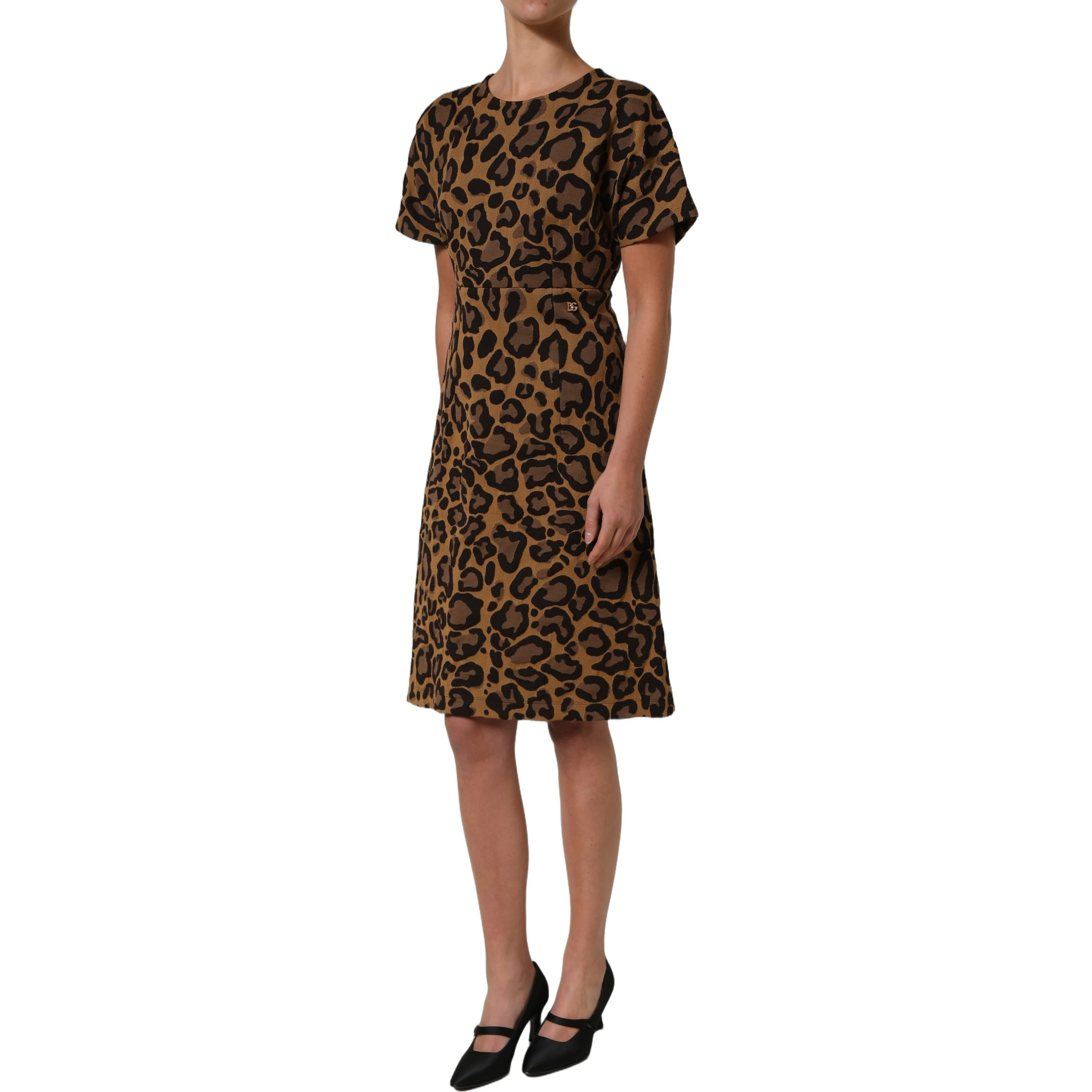 Brown LeopardPrint Flared A-line Mini Dress