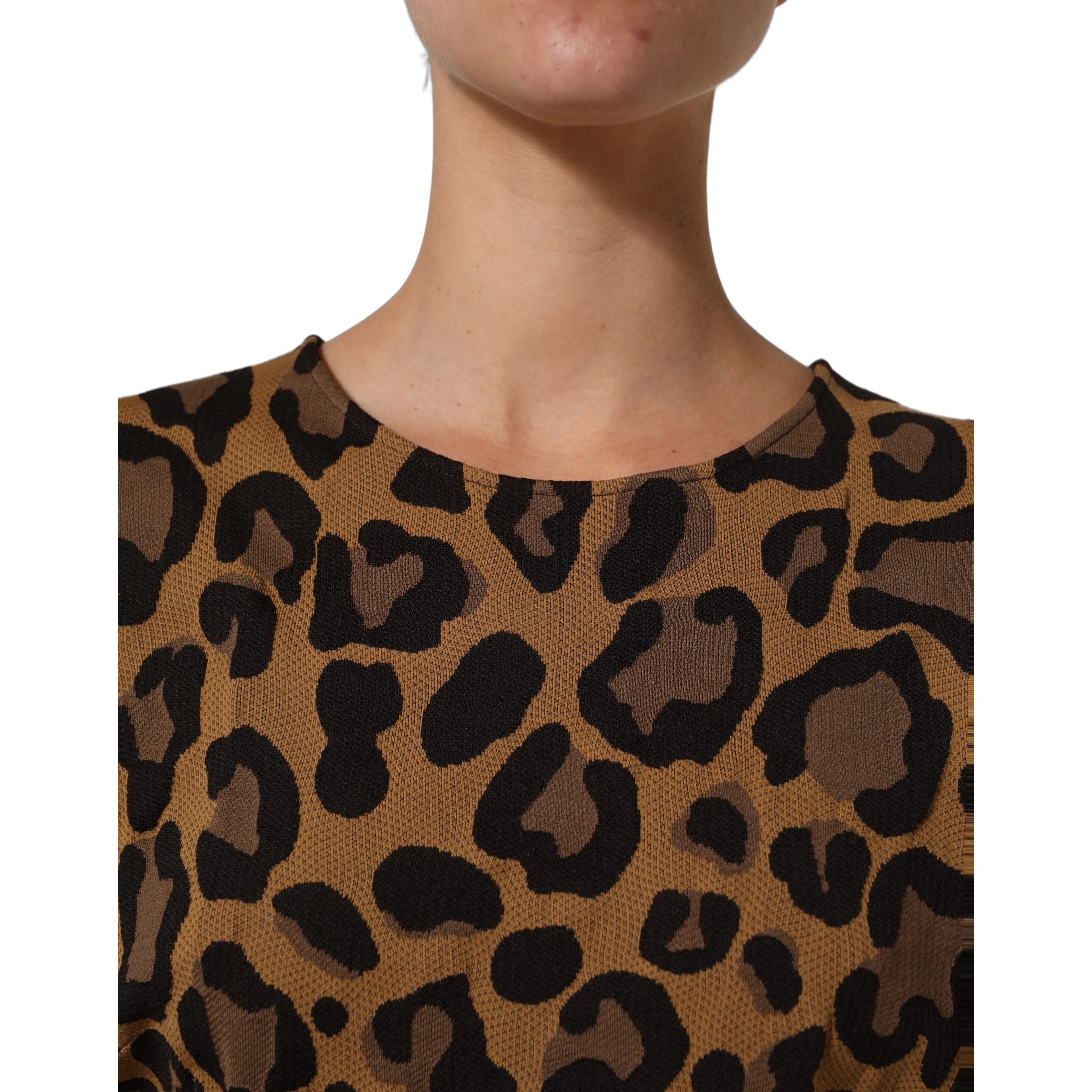 Brown LeopardPrint Flared A-line Mini Dress