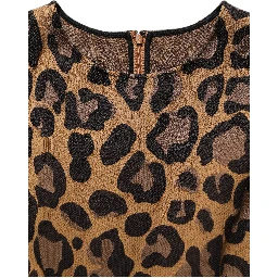 Brown LeopardPrint Flared A-line Mini Dress