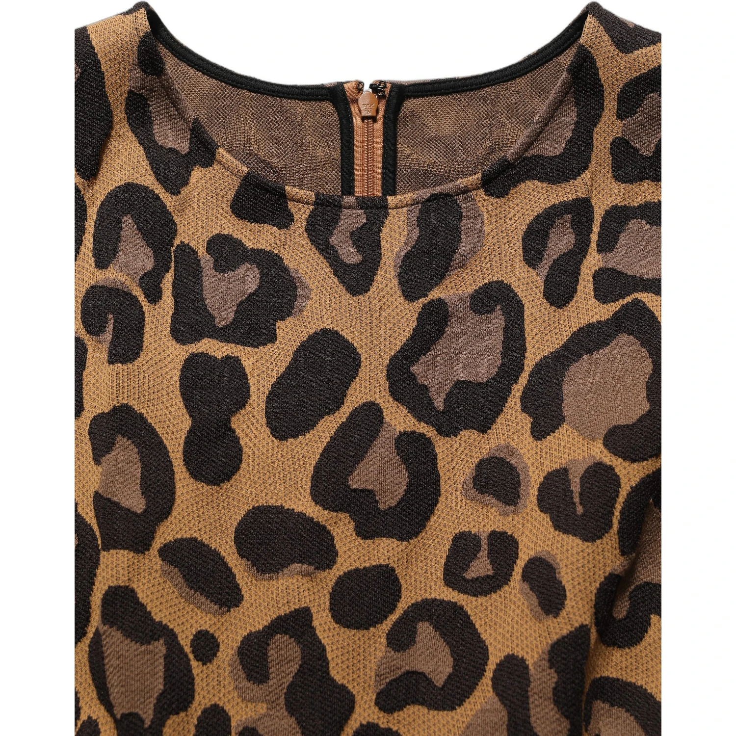 Brown LeopardPrint Flared A-line Mini Dress