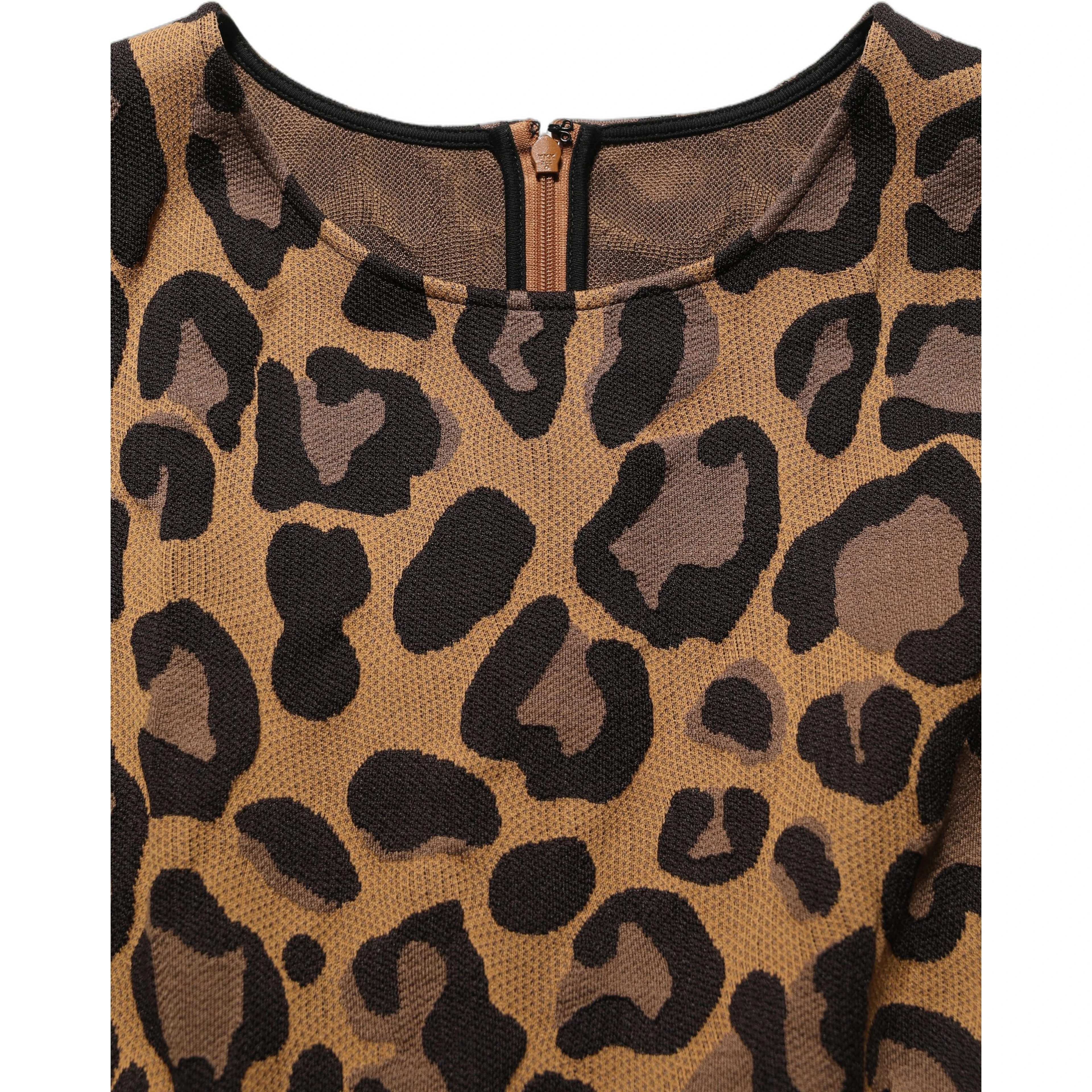 Brown LeopardPrint Flared A-line Mini Dress
