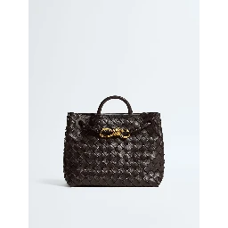 Bottega Veneta Bags.. Brown