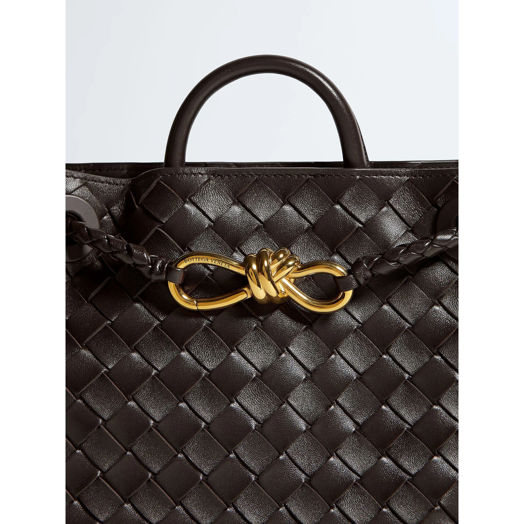 Bottega Veneta Bags.. Brown