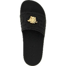 Black Glass Slides